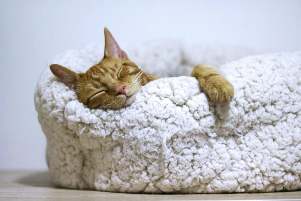 Cozy Home Decor Adorable ginger cat peacefully sleeps in a soft, fluffy basket indoors.