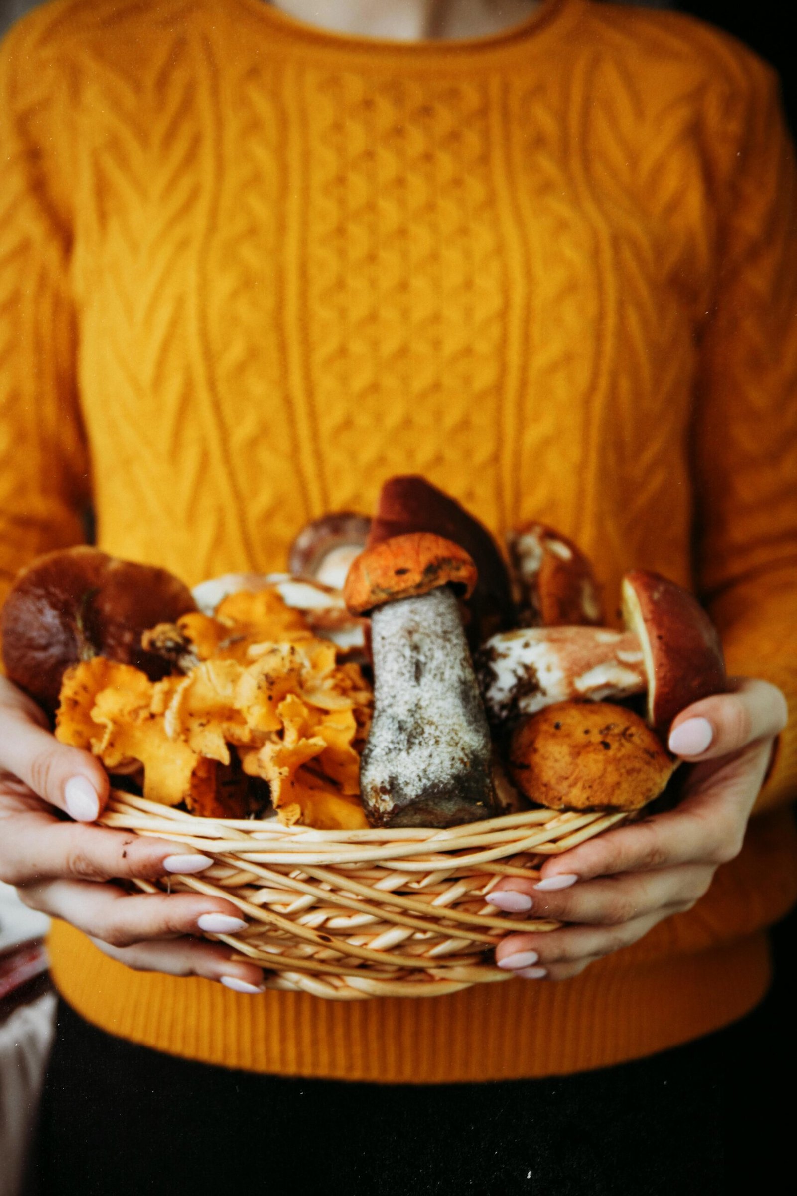 Cozy autumn scene with diverse mushrooms in a woven basket, held by a woman in a warm sweater.